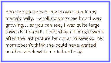Text Box: Here are pictures of my progression in my mama's belly.  Scroll down to see how I was growing... as you can see, I was quite large towards the end!  I ended up arriving a week after the last picture below at 39 weeks.  My mom doesn't think she could have waited another week with me in her belly!
