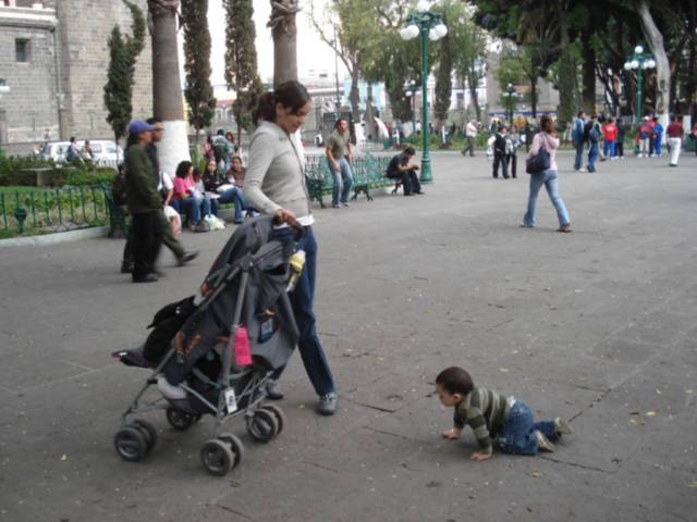 why%20have%20a%20stroller%20if%20I%20can%20crawl%3F